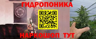 прущие крисы Ипатово