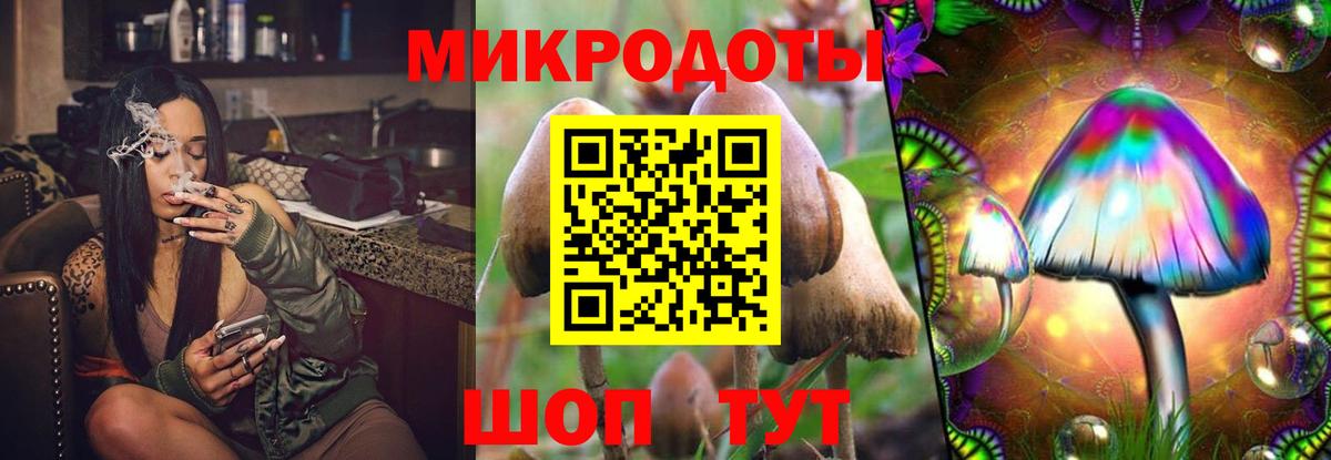 Галлюциногенные грибы Magic Shrooms  Галлюциногенные грибы Cubensis  Вход с VPN  Кулебаки 